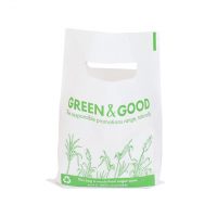 NEW Green & Good Sugar Cane Mini Gift Bag - Recyclable