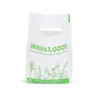 NEW Green & Good Sugar Cane Mini Gift Bag - Recyclable