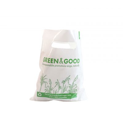 NEW Green & Good Sugar Cane Mini Gift Bag - Recyclable